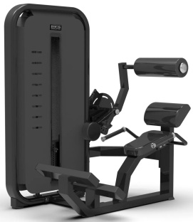 Разгибание спины BRONZE GYM MIGHT 23